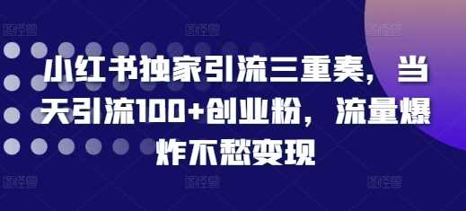 小红书独家引流三重奏，当天引流100+创业粉，流量爆炸不愁变现【揭秘】万项网-开启副业新思路 – 全网首发_高质量创业项目输出万项网