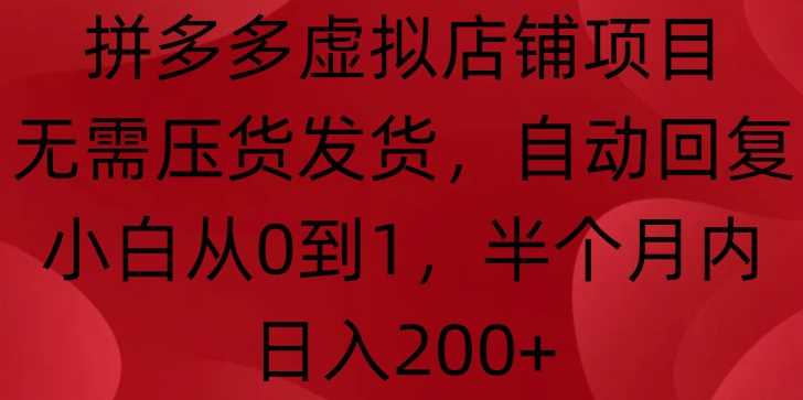 拼多多虚拟店铺项目，无需压货发货，自动回复，小白从0到1，半个月内日入200+【揭秘】万项网-开启副业新思路 – 全网首发_高质量创业项目输出万项网