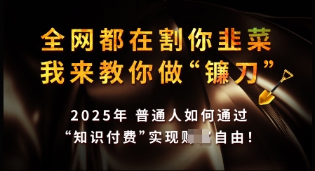 知识付费如何做到月入过W+，2025我来教你做“镰刀”【揭秘】万项网-开启副业新思路 – 全网首发_高质量创业项目输出万项网