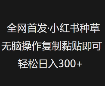 全网首发，小红书种草无脑操作，复制黏贴即可，轻松日入3张万项网-开启副业新思路 – 全网首发_高质量创业项目输出万项网